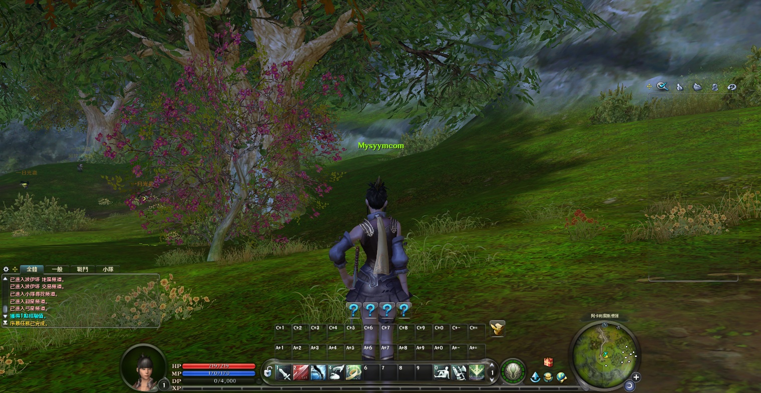 D-172大型3DMMORPG端游【永恒之塔4.5台服原版】WIN系服务端-PC客户端-GM号修改教程|沐夜源码网