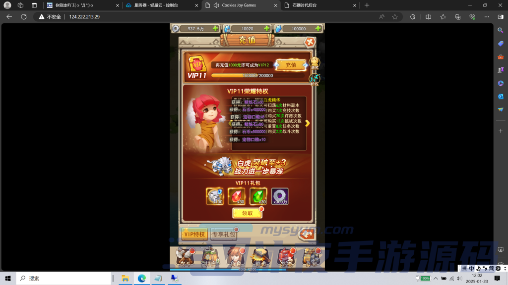 图片[4]|H-028竖屏新版回合手游【新石器大冒险之宠物猎人-内置GM】WIN系服务端-网页客户端-GM授权后台-内置GM开启教程|沐夜源码网