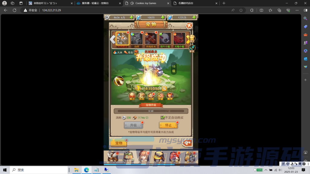 图片[6]|H-028竖屏新版回合手游【新石器大冒险之宠物猎人-内置GM】WIN系服务端-网页客户端-GM授权后台-内置GM开启教程|沐夜源码网