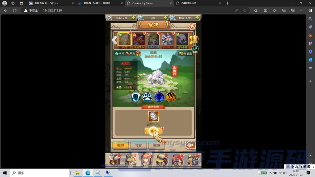 图片[7]|H-028竖屏新版回合手游【新石器大冒险之宠物猎人-内置GM】WIN系服务端-网页客户端-GM授权后台-内置GM开启教程|沐夜源码网